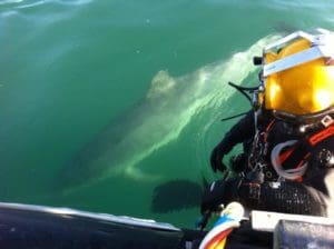 from Craig 'ballbag' Barwick submitted for January photo contest