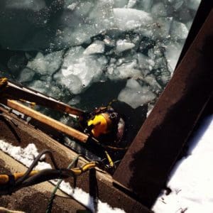 from Neil Friday, submitted for January photo contest