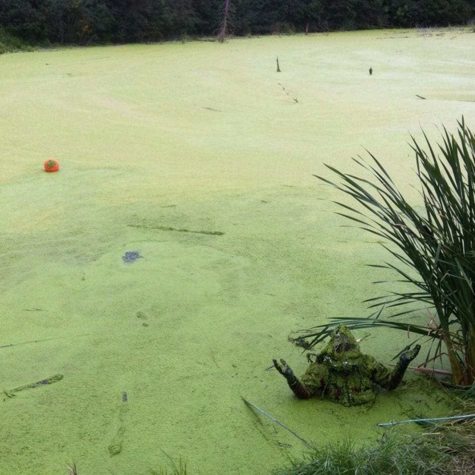 entry for January photo contest from Eric Tomlinson