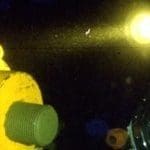 north-sea-divers-alliance