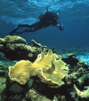 Fisher attorney claims more closed marine areas has already been decided, federal sanctuary official calls it ‘absurd’