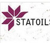 Statoil Makes Minor Discovery at Tarvos