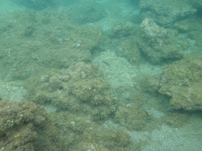 Rights Sought for Seabed Mining Off Cornish Coast