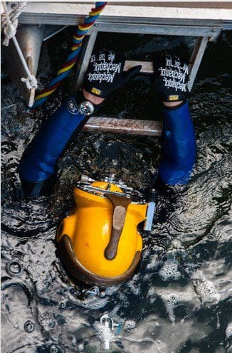 Professional Divers – Branches and Responsibilities