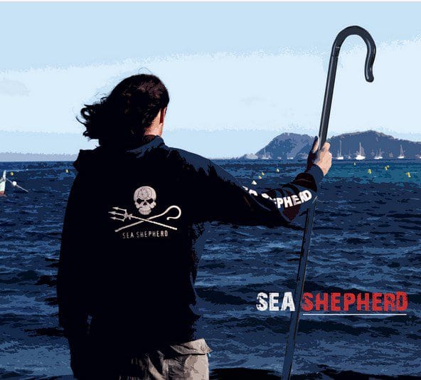WATCH: Sea Shepherd Rescues Crew as Poaching Vessel ‘Tunder’ Goes Down