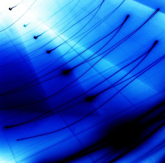 Kraken Sonar Nets AquaPix Order