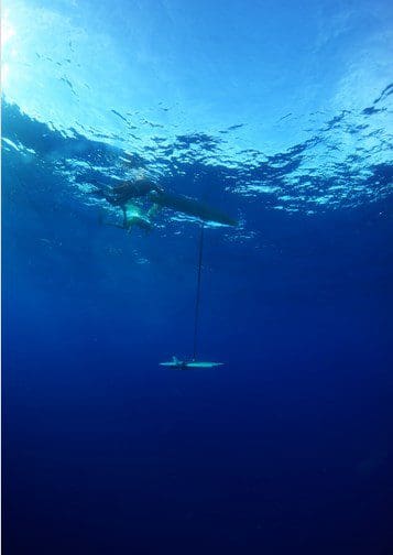 Liquid Robotics Presents Open Oceans Partner Program