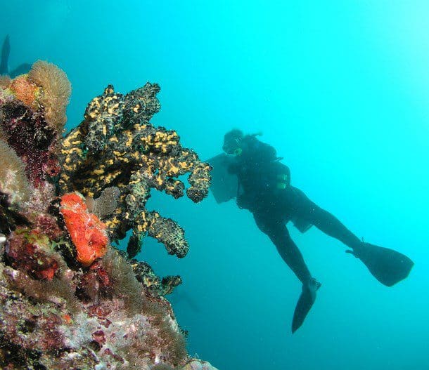 Diving into science in Ontario