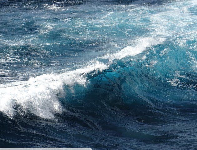 MPS Welcomes EU Commission’s Innovation Fund Proposal