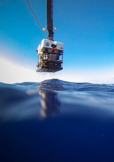 ROVs Remove Dangerous Fishing Nets from Deep Waters