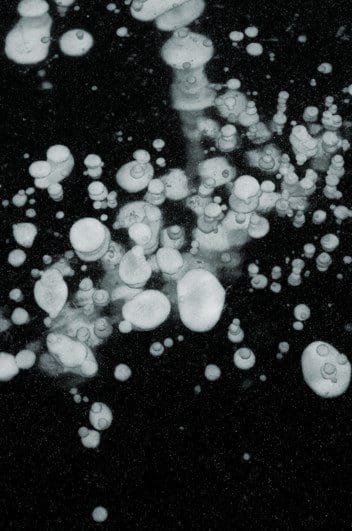 Subsurface Warming Could Cause Methane Gas to Bubble Up, Study Shows