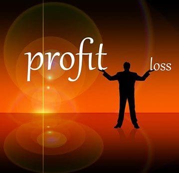 Havyard Posts Profit Drop