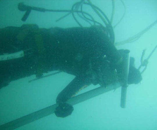 What Is It Like Working As An Underwater Welder?