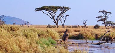 Africa Oil announces significant increase 2C Oil Resources