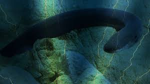 Simplified subsea intervention with an electric eel